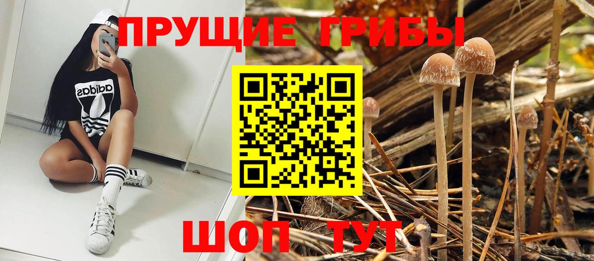 Малгобек  Галлюциногенные грибы GOLDEN TEACHER  Вход с VPN 