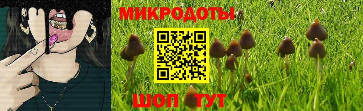 Галлюциногенные грибы Magic Shrooms Малгобек